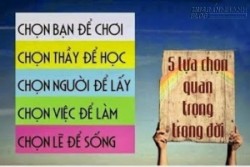 5 bài học quý về sự lựa chọn