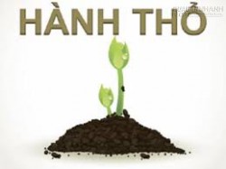 Phong thủy cho người mệnh Thổ