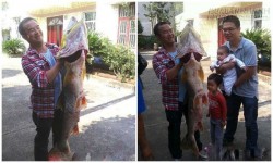 Bắt được loài cá quý hiếm ở ao làng, trị giá cả ngàn đô la