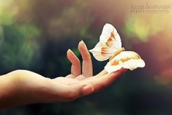 Những dáng bàn tay mang số mệnh nghèo khổ