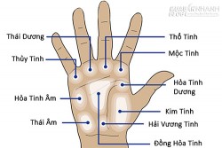 Các gò trên bàn tay nói gì về bạn?