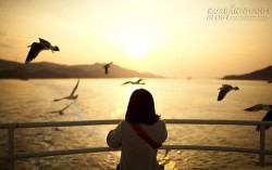 Tình yêu ngốc nghếch hại chết người