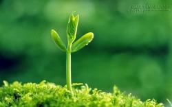 Bốn câu chuyện ý nghĩa đem lại cho bạn những bài học sâu sắc về cuộc sống