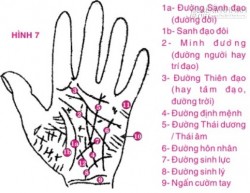 Xem tướng tay: Lý giải tất tần tật về đường Định Mệnh