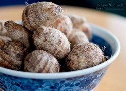 Khoai sọ trị bệnh táo bón đại tiện ra máu