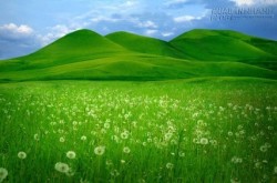 Phương pháp để tăng cường quý nhân giúp đỡ?