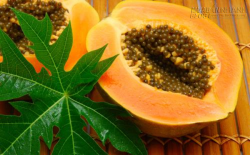 3 loại hạt thần thánh ngăn ngừa bệnh ung thư