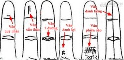 Đường vân ngón áp út nói gì về tương lai của bạn?
