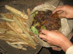 Thần y nắm giữ bí quyết biệt dược phòng the chữa vô sinh
