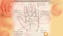 Tướng bàn tay phụ nữ giàu có thay đổi cuộc đời nhờ hôn nhân