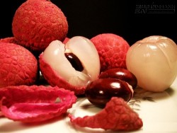 Đừng vứt hạt vải ngay sau khi bạn đọc được bài viết này