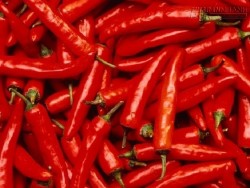 Ớt đỏ: Gia vị cay, thuốc hay chữa bệnh