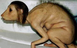 Quá bất hiếu với cha mẹ, cô gái bị biến thành quái thú