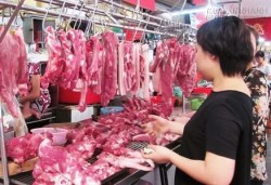 Trùng trùng điệp điệp thuốc kháng sinh trong thịt, cá