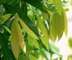 Ai bị tiểu đường nhất định phải biết điều này để không bao giờ bị biến chứng