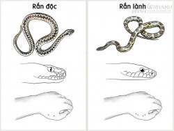 Hãy đọc 17 mẹo sau đây, có lúc nó sẽ cứu bạn
