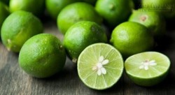 Giải độc rắn cắn bằng hạt chanh: Bí quyết ai cũng nên lận lưng