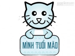 Tuổi Mão - Mức độ giàu có và phát tài