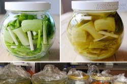 4 loại bệnh cần tránh xa dưa cà muối