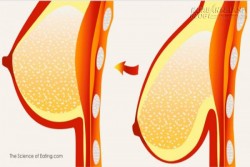 Làm 1 tuần 1 lần: vòng 1 chảy xệ cũng săn chắc như gái đôi mươi