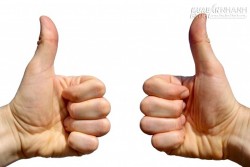 Vì sao ngón tay cái chỉ có 2 đốt?