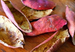 Thứ duy nhất này trị viêm ruột thừa 5 giờ, loét dạ dày chỉ 7 ngày là khỏi