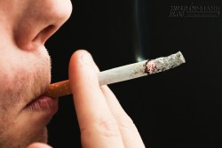 Đọc bài này, quý ông không cai được thuốc lá phải suy nghĩ lại