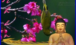 Đừng hưởng hết phước báu