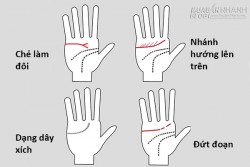 Các dạng đường tình duyên thường gặp và ý nghĩa của chúng