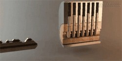 Tròn mắt ngạc nhiên trước lát cắt của những vật thường thấy