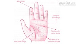 Bàn tay của người luôn bị tình đơn phương đeo đẳng