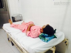 Ăn thịt con nưa, 5 người trong gia đình nhập viện