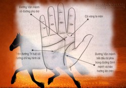 Xem bói chỉ tay của người luôn có quý nhân phù trợ trong mọi việc