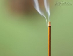 Thắp bao nhiêu hương trên bàn thờ là tốt nhất?