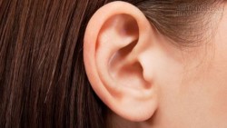 Vận số của những người tai to