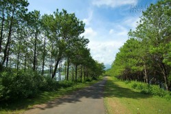 Những con đường đi thẳng vào tim du khách ở Gia Lai