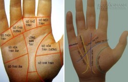 Bắt sóng những tín hiệu phát tài trên bàn tay