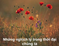 5 nghịch lý cuộc sống khiến chúng ta phải suy ngẫm