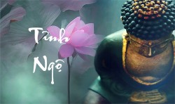 Những câu nói giúp bạn tỉnh ngộ!