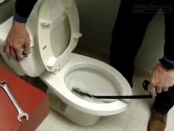 Mẹo sử dụng và vệ sinh bồn cầu khoa học nhất