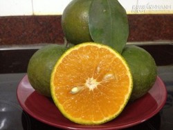 Mẹo chọn cam tươi ngon nhất, quả ngọt, nhiều nước