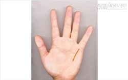 Tay đại gia khác gì tay người thường?