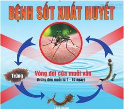 Đuổi muỗi an toàn từ sơn đuổi muỗi Antimos