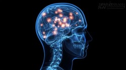 Những mẹo cải thiện trí nhớ siêu hiệu quả