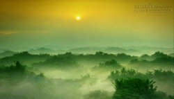 8 câu nói giúp bạn không phải hối tiếc vì lựa chọn sai trong cuộc đời