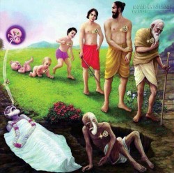 Cuộc sống vô thường : Tạm thời