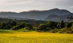 Tích tiền mà không tích đức, cuối cùng cũng là công dã tràng