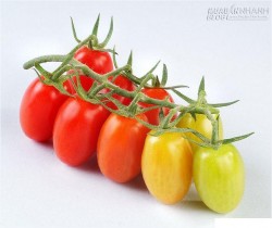 Triệt tiêu hôi nách với những thực phẩm quen thuộc