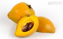 Cách làm kem tắm trắng không thua gì mỹ phẩm đắt tiền từ quả lê ki ma