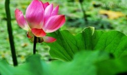 Đừng để các quan niệm hạn chế bạn